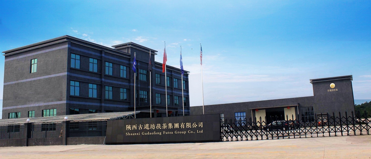 China Shaanxi Gudaofang Futea Group Co., Ltd. Unternehmensprofil