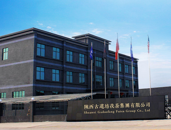 China Shaanxi Gudaofang Futea Group Co., Ltd. Unternehmensprofil