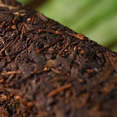 Erleben Sie die reiche Geschichte des fermentierten Tees mit dunklem Teebrick winzigem Quadrat Futea Kuchen